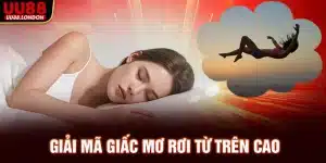 giai-ma-giac-mo-roi-tu-tren-cao