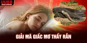 giai-ma-giac-mo-thay-ran