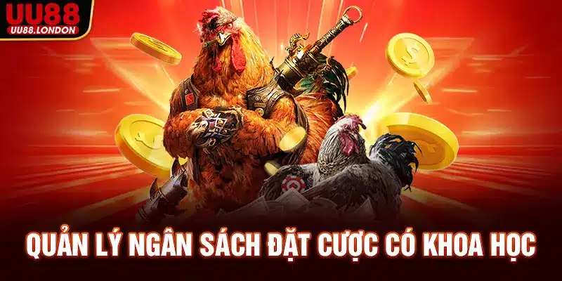 Quản lý ngân sách đặt cược có khoa học