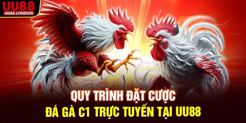 Quy trình đặt cược đá gà C1 trực tuyến tại UU88