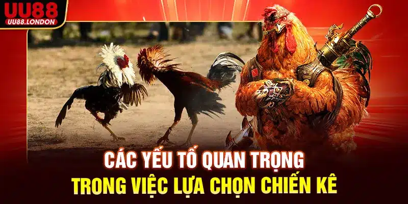 Các yếu tố quan trọng trong việc lựa chọn chiến kê